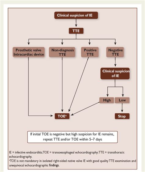 2015 ESC Guidelines For The Management Of Infective Endocarditis