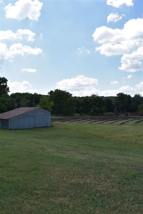 Here's why actress Jennifer Garner is farming in Locust Grove ...