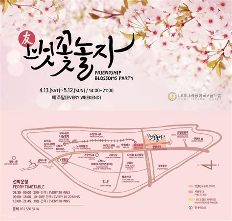 Nami Island Cherry Blossom Viewing from Seoul, South Korea - Klook