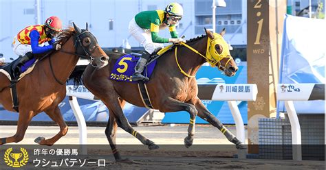 川崎記念 Jpni 2024｜特集おトク情報楽天競馬