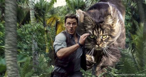 Jurassic Kittens World Cat Cats Jurassic Park