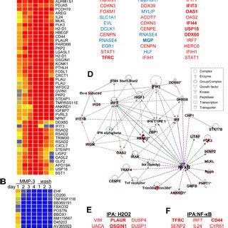 Mmp Responsive Region Of The Snail Promoter Contains An Nf B Binding