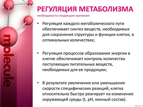 Метаболизм - обмен веществ - презентация онлайн