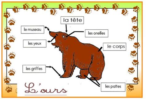 Fiche Maternelle Ours