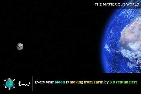 #moon #earth #facts | Facts, Earth, Moon