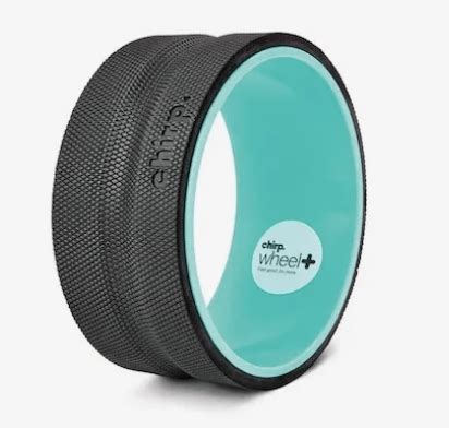 Chirp Wheel Review – Will This Fix Your Back Pain? - My Home Dojo