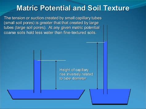 Soil Water Plant Relationships