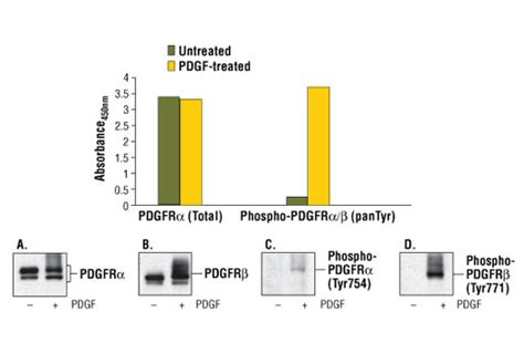 Pathscan Phospho Pdgf Receptor Alpha Beta Pantyr Sandwich Elisa Kit