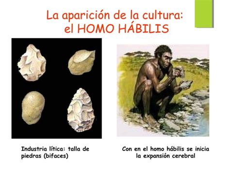 El Proceso De Hominizacion Ppt Descarga Gratuita