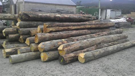 Timber World - Home