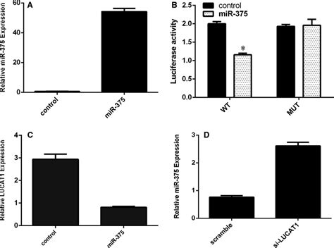 Lucat1 Regulated The Mir‐375 Expression In Tscc Cell A The