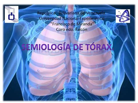 Exploracion Semiologica De Torax Respiratorio DIAPOSITIVAS Pptx