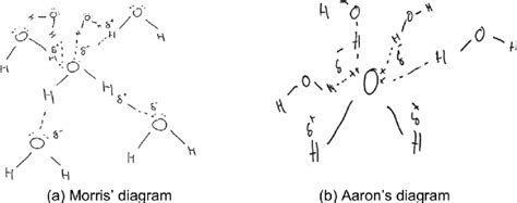 (a and b) Examples of students' diagrams showing hydrogen bond ...