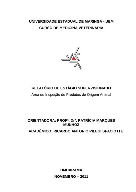 PDF UNIVERSIDADE ESTADUAL DE MARINGÁ UEM CURSO DE RELATÓRIO DE