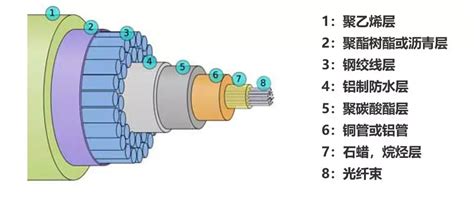 揭秘！关于海底光缆的最强科普！ 知乎
