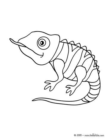 Chameleon Drawing Template At PaintingValley Explore Collection