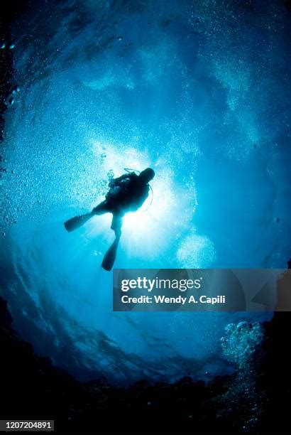 Man Diving Silhouette Photos And Premium High Res Pictures Getty Images