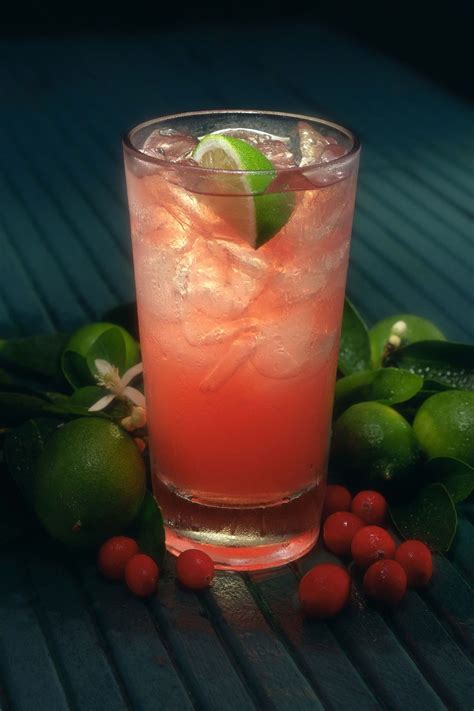 Miami Iced Tea Recipe Tropical Drink Recipes Cranberry Vodka