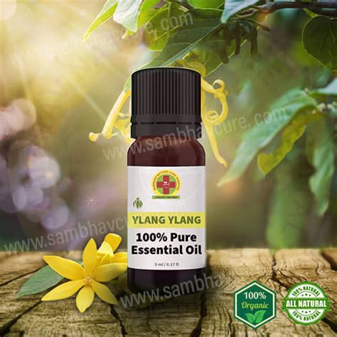 Ylang Ylang 100 Pure Essential Oil Sambhav Nature Cure Hospital