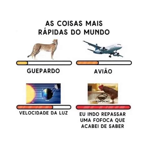 As coisas mais rápidas do mundo Guepardo Avião Velocidade da luz Eu