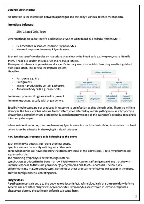 Cell Recognition And The Immune System Aqa A Level Biology Notes Teaching Resources