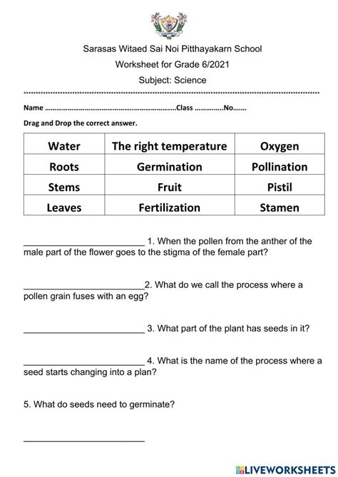 The Process In Sexual Reproduction 4245309 Teacheralvin