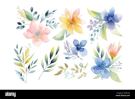 Aquarelle Bouquet Floral Illustration Ensemble Rose Bleu Jaune Fleur