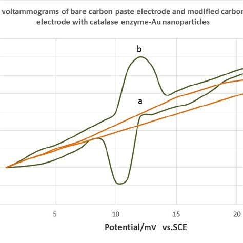 A Cyclic Voltammograms Of Bare Carbon Paste Electrode In M