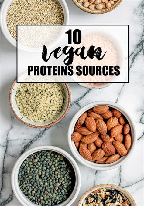 10 Best Plant Based Protein Sources Choosing Chia