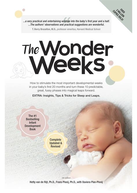 Buy The Wonder Weeks How To Stimulate The Most Important Developmental