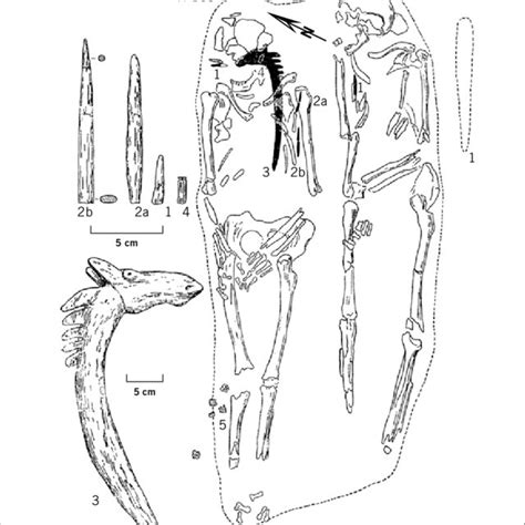 Double Burial Of A Mature Man And A Senile Woman In Grave 152153 In