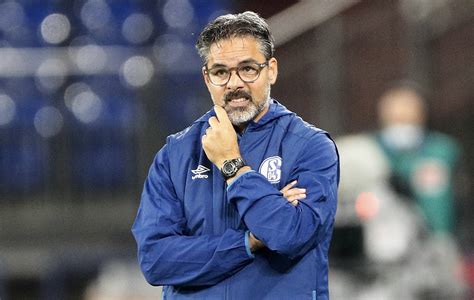 Fc Schalke Trainer David Wagner Entlassen