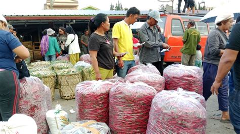 Mei Info Harga Cabai Tomat Kol Kentang Pajak Tigapanah