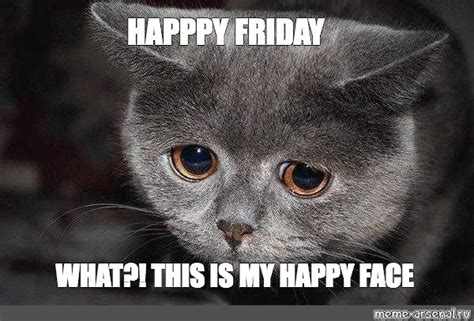 Happy friday cat meme - freeloadsratings