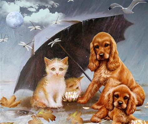 Free Download Rainy Day Rain Autumn Cats Dogs Hd Wallpaper Peakpx