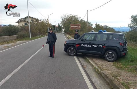 I Carabinieri Di Lattarico Arrestano Un Enne Per Maltrattamenti In