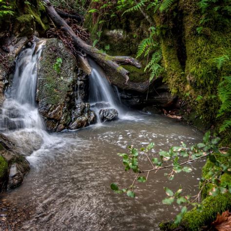 Coal Creek Preserve | Midpeninsula Regional Open Space District