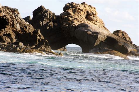 Parque Estadual Marinho Da Laje De Santos