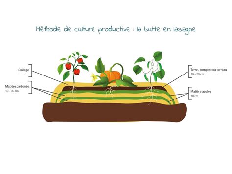 Créer une butte en lasagne Jardinage Permaculture