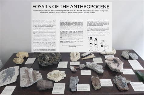 Fossils of the Anthropocene | Libby Jones