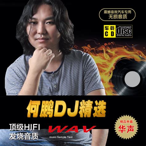 何鹏《dj何鹏精选》特辑2020年11月最新舞曲（中集） Wavmp3 音乐地带 华声论坛