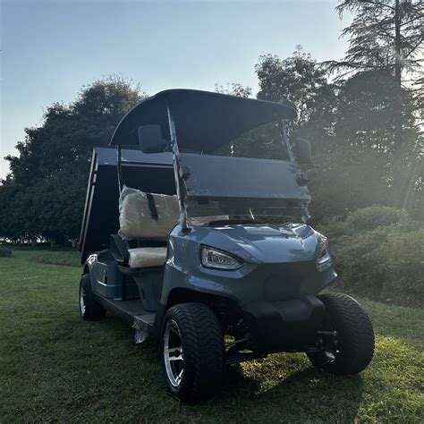 Low Speed Electric Cargo Cart 2 Seaters Electric Golf Cart With Cargo