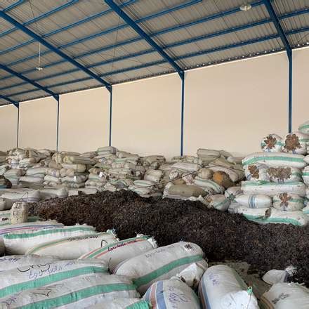 PT Asia Sejahtera Mina Seaweed And Fishery Supplier