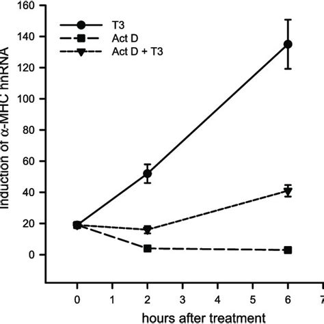 Effects Of Actinomycin D On Triiodothyronine T3 Mediated Induction