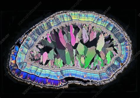 Quartz Nodule Polarised Light Micrograph Stock Image C049 6582