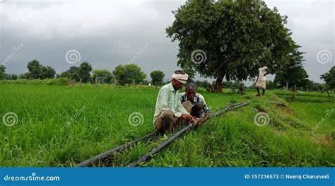 Indian Village Farmers Installing Water Irrigation Pipe At Agriculture