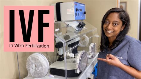 In Vitro Fertilization Ivf Youtube