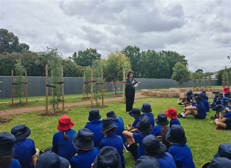 Tree Arbour Official Opening East Marden Primary School
