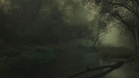 Beauty In Nature River Fog Lake Trees Dark Germany Growth