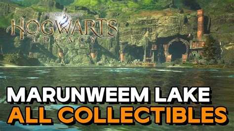 Hogwarts Legacy Marunweem Lake All Collectible Locations Guide